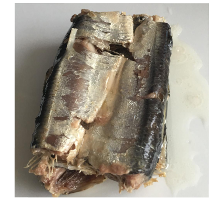 Canned fish/ mackerel, sardines, plichard 